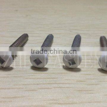 painted head self-tapping screw