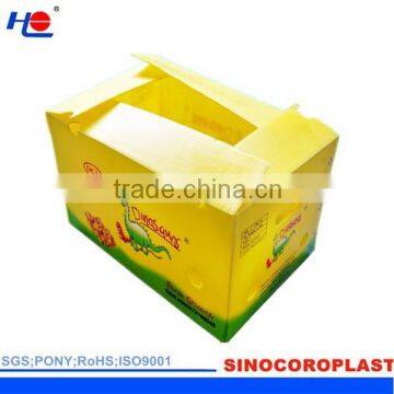 Recyclable PP Corrugated Flute Packing Box