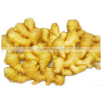 Dried Whole Ginger Chinese Professional Factory "HOT SALE" Price photo-5
