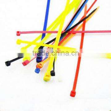 2016 High Quality Self Locking Nylon Cable Tie photo-4