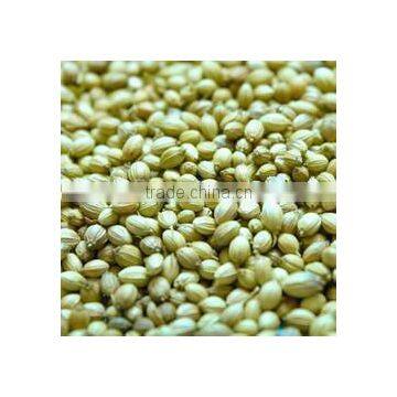 Dried Coriander Seed