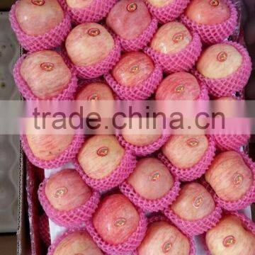 2015 Crop Cold Store Fuji Apple photo-2