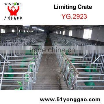 Galvanized Pipe Pig Equipment Gestation Slat Pig Limit Crate photo-3