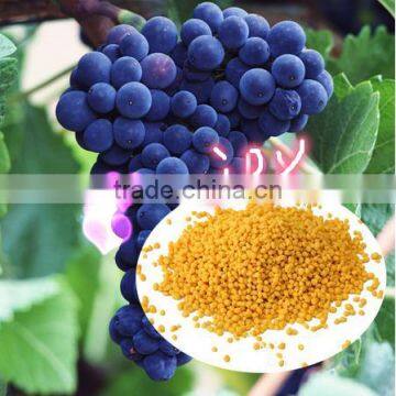 Ammonium Sulphate nitrate fertilizer