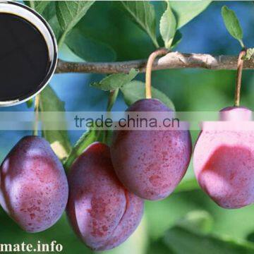 Manufacturer Liquid Natural Chitosan Price photo-3