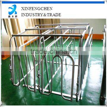 Pig Farming Equipment Gestation Stall for Pig Farm