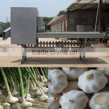 Dry Garlic Root Cutting Machine photo-3