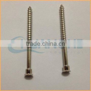 China Factory Sales Carbon Decorative Furniture Screws and Nuts photo-5