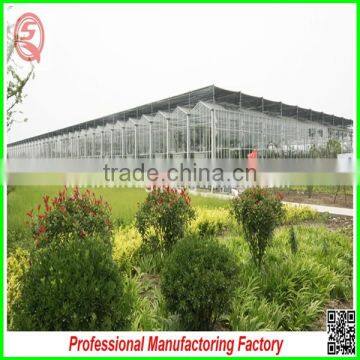 China Price Multi-span Glass Greenhouse With Drip Irrigation for Sale photo-4