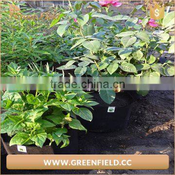 Non-woven Garden Vegetable Bag Recycled Greenhouse Grow Bag photo-2
