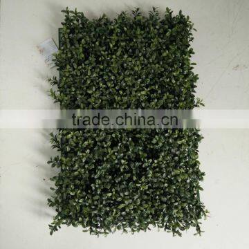 Fake Spring Grass Artificial Ornamental Grass Carpet photo-5