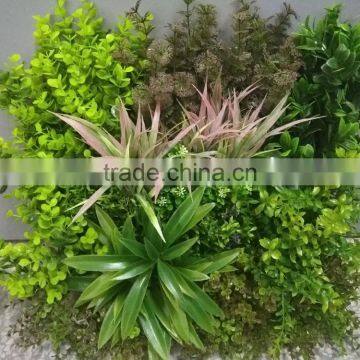 Decorative Frame Wall Hanging Grass Plants