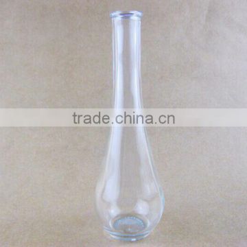 clear glass vase / flower bottle