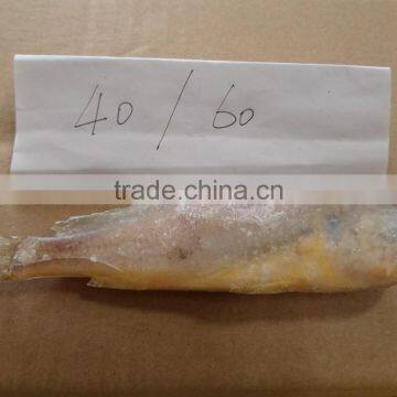 Frozen Yellow Croaker 40/60 g/pc