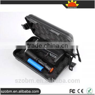 2016 Latest UV Light Flashlight Torch Kit, Aluminum Alloy High Power 395nm UV Torch photo-6