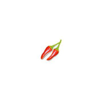 India Chilli