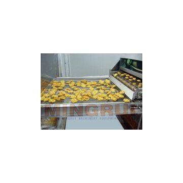 Tunnel-Type Frying Equipments