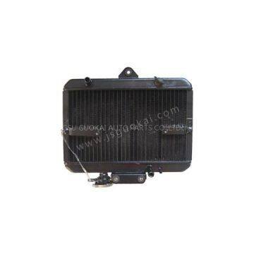 GK Foton 200ZS-1 Radiator