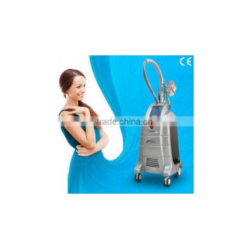 Newest technology:cryolipolisis machine/slimming machine