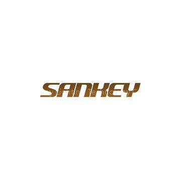 Shenzhen Sankey Lighting Technology Co., Ltd.