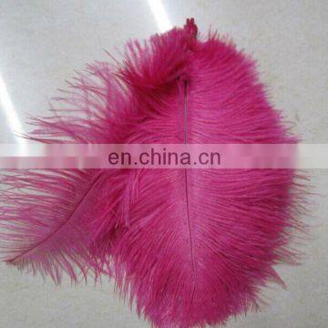 top quality fast delivery time colorful ostrich feather