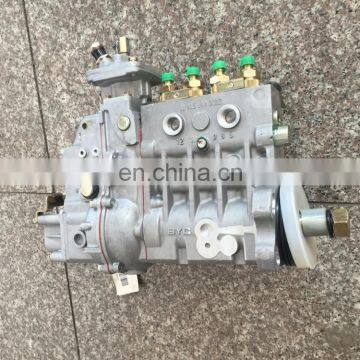 FOTON LOVOL Fuel Injection PumpT832080125 With Other No.10 402 374 148 10402374148 for Lovol Engine photo-2