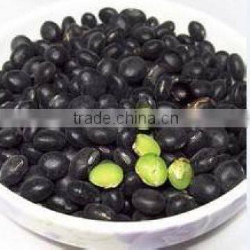 Organic Black Bean With Green Kernel photo-2