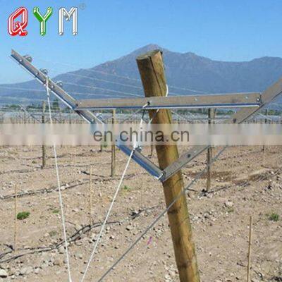 Chile Market Vine Open Gable Trellis Post photo-3
