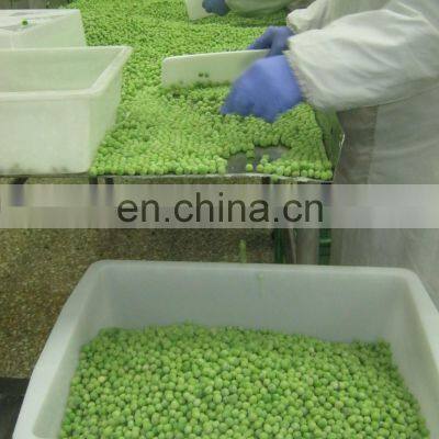 Sinocharm BRC Approved High Quality Dia 7-11mm IQF Frozen Green Peas photo-5