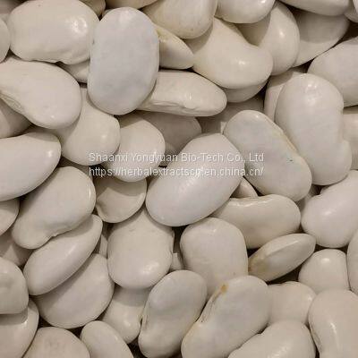 White Kidney Bean Extract Phaseolamin 1%，White Kidney Bean 3000 U/g, Phaseolus vulgaris Seed Extract, Yongyuan Bio