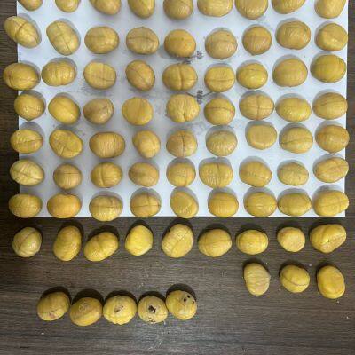 Calidad de castañas orgánicas, deliciosas meriendas saludables de castañas en envases de 5KG, 10KG y 15KG