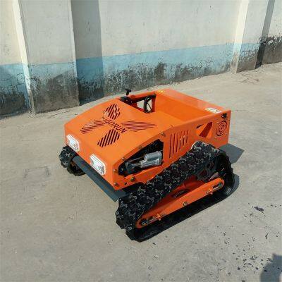 Loncin 224cc 1500W Gasoline Engine Cordless Self-Charging Battery Powered Lawn Weed Cutter With Wireless Radio Control photo-6