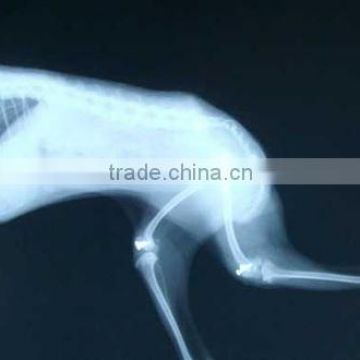 high quality dry film medical x-ray film fuji agfa/high quality medical x ray film / dry film/x ray equipment price