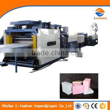 Producer XPS Foam Production Line