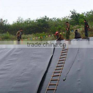 Geomembrane photo-5