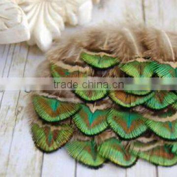 Peacock feather ,peacock gold feather in sale