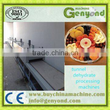 Professional Belt Dryer, Net Belt Tunnel Dryer, Mesh Belt Dryer