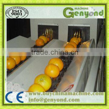 fruit photoelectronic grading line