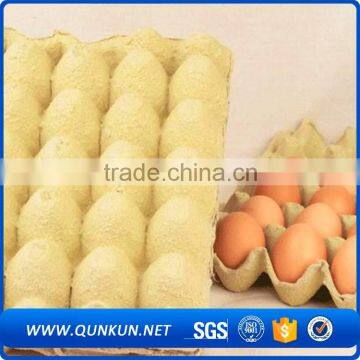 wholesale price 24 quail eggs tray