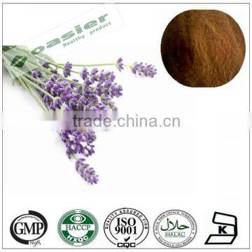 Natural GMP hot sale Lavandula pedunculata extract powder