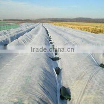 3%UV pp spunbond agriculture nonwoven fabric