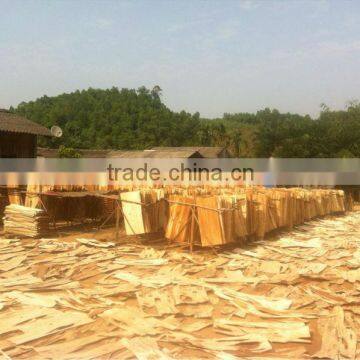 Acacia core veneer