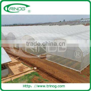 Economical poly tunnel greenhouse for agriculture used