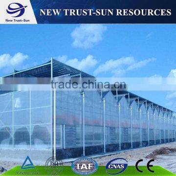 Best Selling PC Sheet/board Agricultural Greenhouse for Sale photo-3