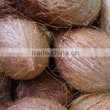 Fresh Young and Mature Coconut, King Coconut