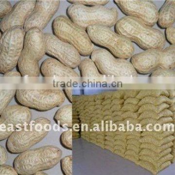 peanut in shell washed from China