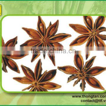 Vietnam star aniseed