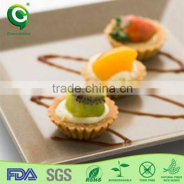 Fashion Design Biodegrable and Wholesale Simple Square Plate photo-4