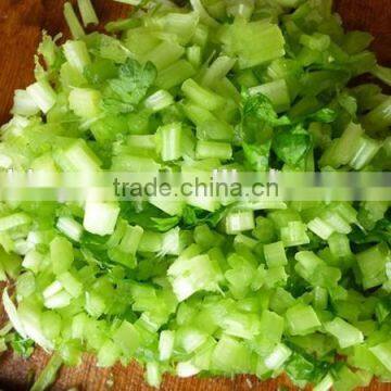 IQF Frozen celery diced with best price