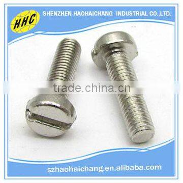 customized nonstandard stainless steel slotted screw